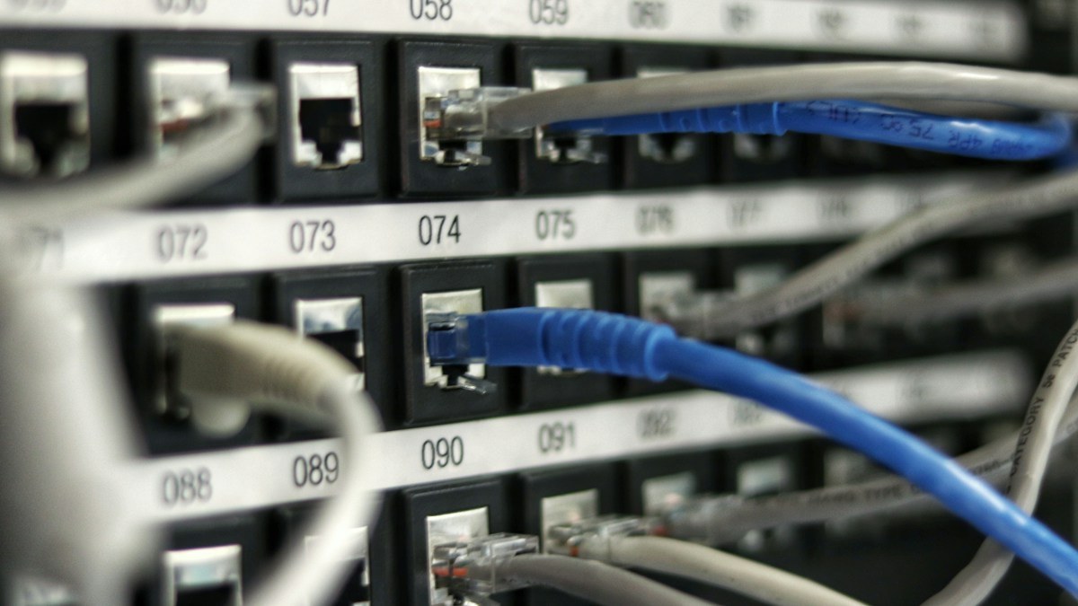 Bir ağ dolabındaki patch panele takılı mavi ve gri Ethernet kabloları (temsili)